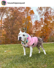 Load image into Gallery viewer, Unicorn Glam 🦄 Bead Collar