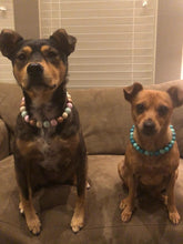 Load image into Gallery viewer, Sugar & Spice Bead Collar