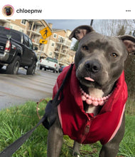 Load image into Gallery viewer, Blush Pink Rain Triplo Acrylic Bead Collar