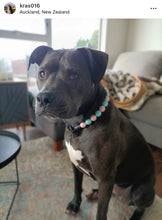 Load image into Gallery viewer, Cotton Candy Shine Bead Collar - SALE