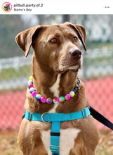 Load image into Gallery viewer, Rainbow Tie Dye Acrylic Bead Collar