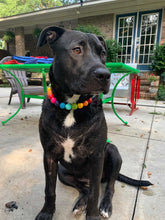 Load image into Gallery viewer, Rainbow š Acrylic Bead Collar