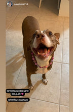 Load image into Gallery viewer, Pink Sugar Bead Collar