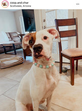 Load image into Gallery viewer, Cotton Candy Shine Bead Collar - SALE