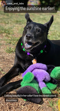Load image into Gallery viewer, Monster Bash Bead Collar