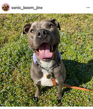 Load image into Gallery viewer, Lavender Rain Triplo Acrylic Bead Collar