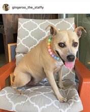 Load image into Gallery viewer, Pastel Rainbow Acrylic Bead Collar