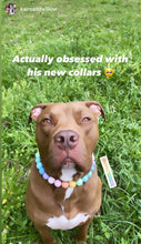 Load image into Gallery viewer, Pastel Rainbow Acrylic Bead Collar