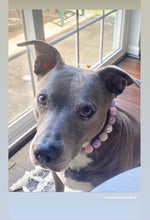 Load image into Gallery viewer, Fairy Tale Bead Collar
