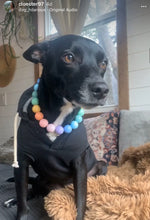 Load image into Gallery viewer, Pastel Rainbow Acrylic Bead Collar