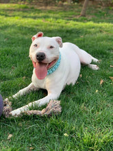 Load image into Gallery viewer, Sky Blue Rain Triplo Acrylic Bead Collar