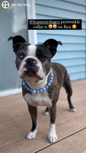 Load image into Gallery viewer, Periwinkle Agate Semi-precious Gem Bead Collar