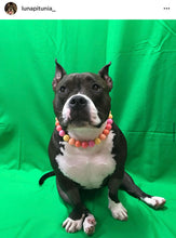 Load image into Gallery viewer, Sweet Tart Acrylic Bead Collar