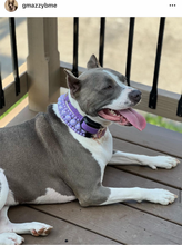 Load image into Gallery viewer, Purple Rain Triplo Acrylic Bead Collar