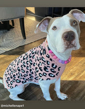 Load image into Gallery viewer, Pink Sugar Bead Collar