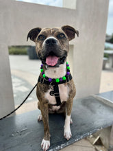 Load image into Gallery viewer, Monster Bash Bead Collar