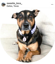 Load image into Gallery viewer, Lavender Rain Triplo Acrylic Bead Collar