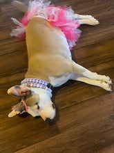 Load image into Gallery viewer, Lavender Rain Triplo Acrylic Bead Collar