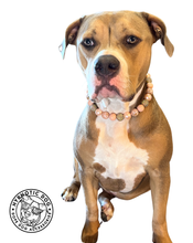 Load image into Gallery viewer, Rose Gold Champagne Bead Collar