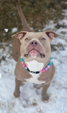 Load image into Gallery viewer, Unicorn Glam 🦄 Bead Collar