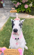 Load image into Gallery viewer, Blush Pink Rain Triplo Acrylic Bead Collar