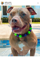 Load image into Gallery viewer, Monster Bash Bead Collar