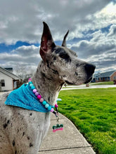 Load image into Gallery viewer, Unicorn Glam 🦄 Bead Collar