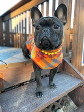 Load image into Gallery viewer, Sunny Waves Resin Bead Collar
