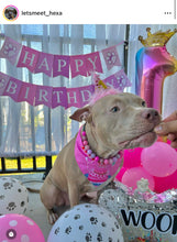 Load image into Gallery viewer, Pink Sugar Bead Collar