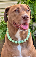 Load image into Gallery viewer, Pistachio Green Resin Bead Collar