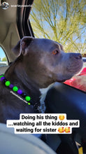 Load image into Gallery viewer, Monster Bash Bead Collar