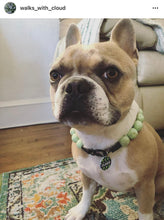 Load image into Gallery viewer, Pistachio Green Resin Bead Collar
