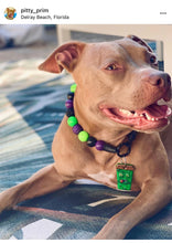 Load image into Gallery viewer, Monster Bash Bead Collar