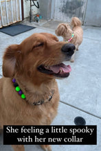Load image into Gallery viewer, Monster Bash Bead Collar