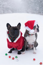 Load image into Gallery viewer, Christmas Frost Bead Collar