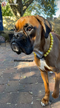 Load image into Gallery viewer, Sunny Waves Resin Bead Collar