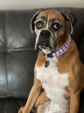 Load image into Gallery viewer, Lavender Rain Triplo Acrylic Bead Collar