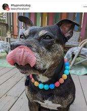 Load image into Gallery viewer, Rainbow Surf Acrylic Bead Collar
