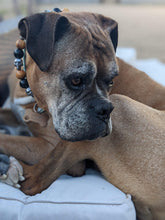 Load image into Gallery viewer, Conqueror Bead Collar