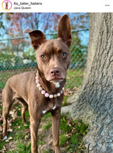 Load image into Gallery viewer, Rose Gold Champagne Bead Collar