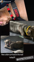 Load image into Gallery viewer, Red & Black Skull Bead Collar