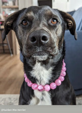 Load image into Gallery viewer, Pink Clouds Acrylic Bead Collar
