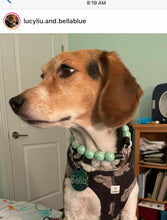 Load image into Gallery viewer, Minty Sage Acrylic Bead Collar - SALE