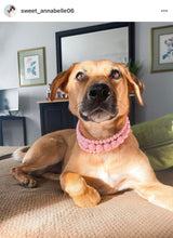 Load image into Gallery viewer, Blush Pink Rain Triplo Acrylic Bead Collar