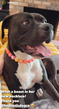 Load image into Gallery viewer, Sweet Tart Acrylic Bead Collar