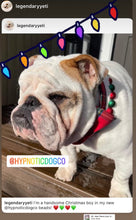 Load image into Gallery viewer, Christmas Frost Bead Collar