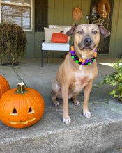 Load image into Gallery viewer, Witching Hour Halloween Bead Collar