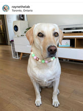 Load image into Gallery viewer, Sugar & Spice Bead Collar