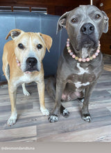 Load image into Gallery viewer, Rose Gold Champagne Bead Collar