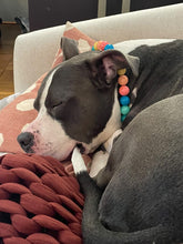 Load image into Gallery viewer, Rainbow Surf Acrylic Bead Collar